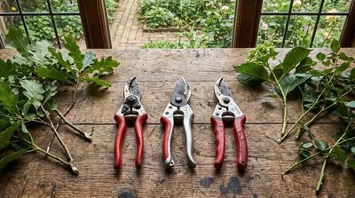 Three Pruners Under $50, Tested for a Full Season