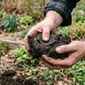 Why This Blog Exists — A Horticulturist’s Permission to Grow an Imperfect Garden