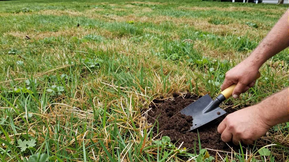 Why Your Lawn Looks Bad — The Real Reasons Nobody Talks About