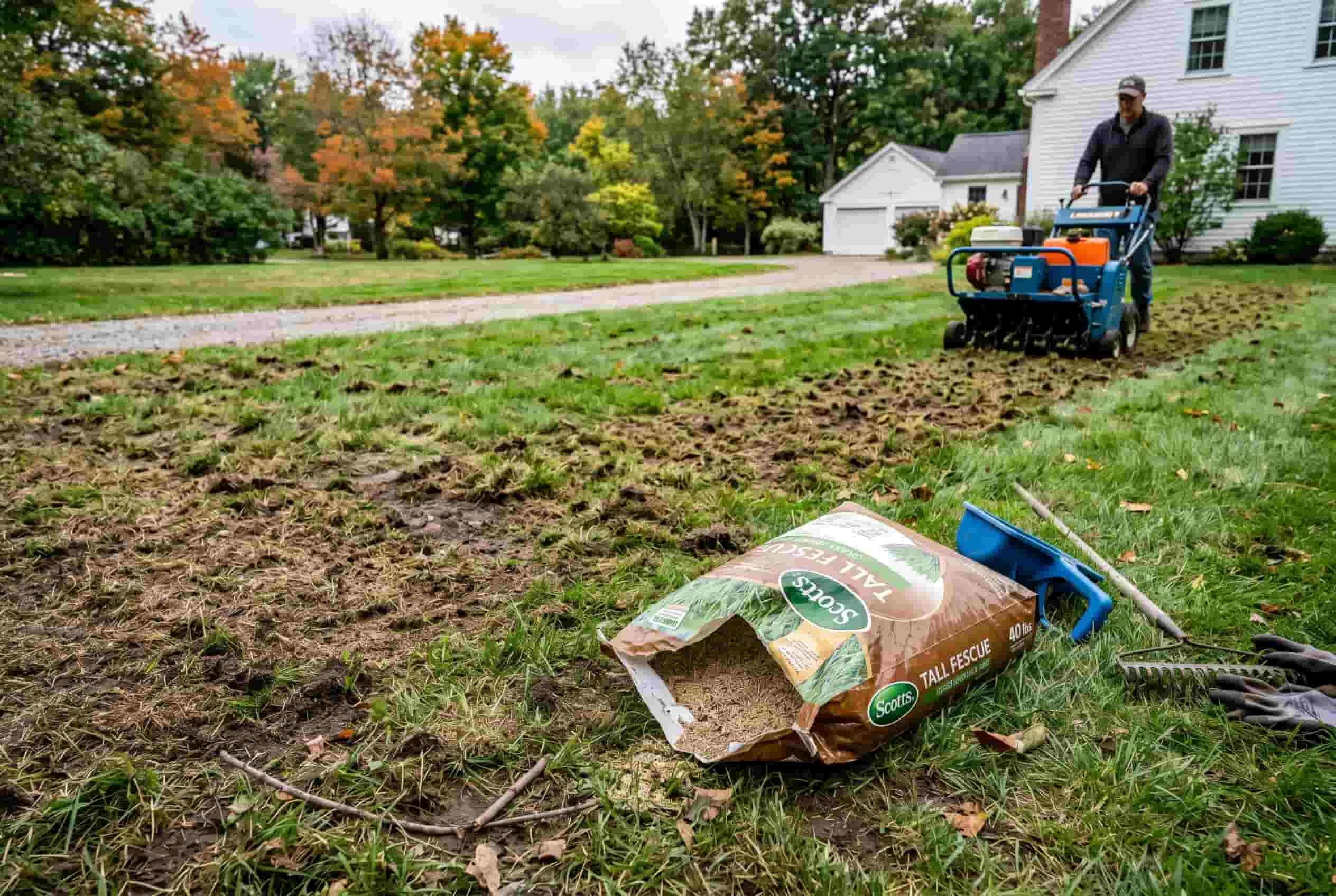 A horizontal photograph of a New England lawn in late September, showing patchy areas being overseeded. A half-empty bag of tall fescue seed sits on the grass. A core aerator machine is visible in the background on a neighboring patch of lawn. The scene is a working yard, not a manicured landscape. Overcast fall light, practical and real.