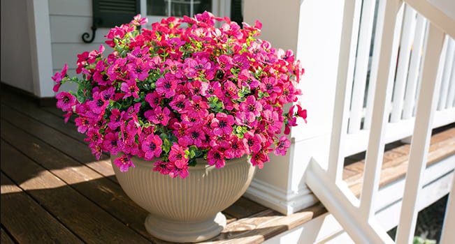 HyeFlora 12 Bundles Artificial Daisy & Eucalyptus Review: $13.99 for Year-Round Color That Actually Lasts