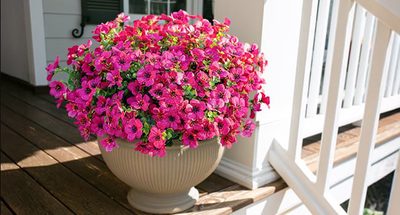 HyeFlora 12 Bundles Artificial Daisy & Eucalyptus Review: $13.99 for Year-Round Color That Actually Lasts